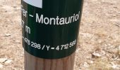 Tour Wandern Oms - monta - Photo 1