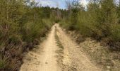 Tour Wandern Lierneux - 1 mei 21 - Photo 1