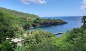 Excursión Senderismo Les Trois-Îlets - Anse Mitan Anse Dufour - Photo 1