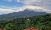 Tour Wandern Le Morne-Rouge - Le Morne-Rouge  -  Le  Carbet par Col Yang Ting - Photo 8