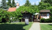 Percorso A piedi Zalakaros - Kilátó körtura - Photo 10