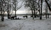 Tour Zu Fuß Ede - Oud Reemst - Blauw - Photo 8