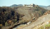 Tour Zu Fuß Altenahr - Altenahr Rundweg 3 - Photo 10