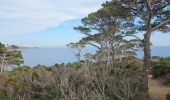 Excursión Senderismo Hyères - Hyères - La presqu'île de Giens - Circuit côtier ouest  - Photo 9