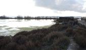 Trail Walking Berre-l'Étang - PF-Berre-l'Etang - Saint Chamas - La Petite Camargue - Photo 11