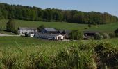 Tocht Stappen Fernelmont - RB-Na-26-racc-Sur les chemins du roi Albert 1er - Photo 1