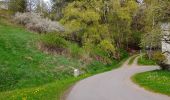 Trail On foot Hohenberg an der Eger - Wanderweg 1 Hohenberg a.d. Eger - Photo 1