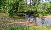 Trail Walking Villechauve - Villechauve 41310 - Photo 14