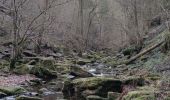 Trail Walking Waimes - Balade Peak Triple  - Photo 7