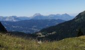 Randonnée Marche Samoëns - lac verderts et un peu plus - Photo 6