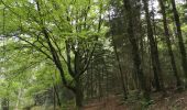 Trail Walking Combrit - Bois de Rescoure. Pont l'abbé. 15/07/20. - Photo 2