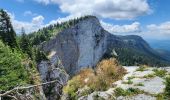 Trail Walking Autrans-Méaudre en Vercors - sure and co - Photo 3