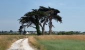 Trail Walking Riantec - Île de Kernec - Photo 1