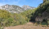 Tour Wandern Le Broc - ESTERON - Photo 10