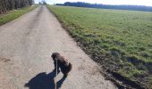 Trail Walking Bertrix - adeps framont  - Photo 4