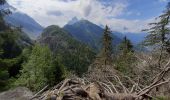 Excursión Senderismo Chamonix-Mont-Blanc - le chapeau par les gorges de l'arveyronet Prapator - Photo 2