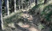 Trail Walking Rocchetta di Vara - Cuccaro - Belvedere - Photo 6