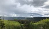 Tocht Stappen Stavelot - Stavelot et les crêtes de l’Amblève - Photo 13