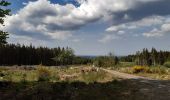 Trail Walking Spa - spa gué des artistes. malchamps . ligne 44 . niveze - Photo 10