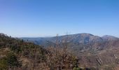 Trail Walking Lucéram - Luceram Caire et col de Brauss - Photo 2