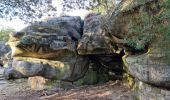 Tour Wandern Fontainebleau - Sentier Denecourt 7 - Photo 9