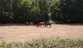 Trail Walking Villedômer - Villedômer - Le sentier des Bois - 22.4km 265m 5h05 (25mn) - 2019 08 10 - Photo 12