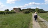 Tocht Stappen Chantonnay - Chantonnay - La Jaudonniere - Photo 2