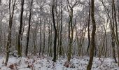 Trail Walking Spa - fagne de malchamp sous les premières neiges de 2025 - Photo 19