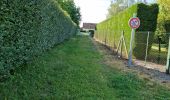 Tocht Stappen Naveil - Circuit au lieu-dit Bordebeure Marcilly-en-Beauce - Photo 19