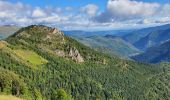 Randonnée Marche Lercoul - Pic-de-garbie-de-bresoul-depuis-lercoul - Photo 5