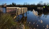 Tour Wandern Fréjus - Etangs des Esclamandes et de Villepey - Photo 5