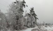 Trail Walking Spa - entre fagne et bois - version courte - Photo 8