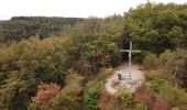 Tocht Stappen Vresse-sur-Semois - Promenade de la Croix - Bohan - Photo 3