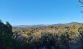 Excursión Senderismo Laroque - laroque, plateau de thaurac - Photo 7