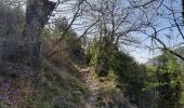 Tour Wandern Vallées-d'Antraigues-Asperjoc - Antraigues - Gamondes 17 km - Photo 4