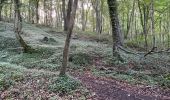 Tocht Stappen Oigny-en-Valois - en forêt de Retz_86_les Laies de la Poudrerie et de la Fosse aux Demoiselles - Photo 4