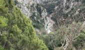 Tour Wandern La Palud-sur-Verdon - La colle de l’olivier - réserve de St Maurin - Photo 10