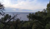 Trail Walking Saint-Raphaël -  saint raphael /les ferrieres / belvédère du Dramont - Photo 3