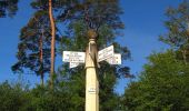 Randonnée Marche Tracy-le-Mont - en forêt de Laigue_2_Le Petit Octogone et l'Octogonet - Photo 1