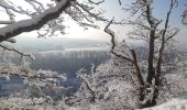 Tour Wandern Spa - spa . Marteau. golf . warfaaz . spa - Photo 18