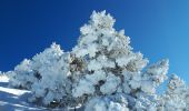 Trail Snowshoes Lans-en-Vercors - Belvédère des Cimes et Moucherotte en raquettes - Photo 3