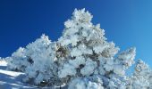 Percorso Racchette da neve Lans-en-Vercors - Belvédère des Cimes et Moucherotte en raquettes - Photo 3