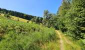 Randonnée Marche Stoumont - La Mont des Brumes - Photo 9