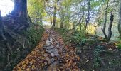 Percorso Marcia Stoumont - A la découverte du ruisseau du Roannay et le village de Moulin du Ruy - Photo 15