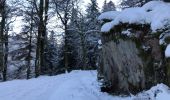 Tocht Stappen Ventron - Ventron col du colet  - Photo 8