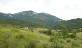 Excursión Senderismo Saint-Julien-en-Quint - Bec Pointu - Les Glovins - St-Julien-en-Quint - Photo 2