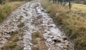 Trail Walking Deux-Verges - Le puy de la tuile  - Photo 1