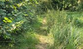 Tocht Stappen Mettray - Mettray - Sentier de la Grotte aux Fées  - Photo 11