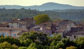 Randonnée Marche Flassans-sur-Issole - La Campagne au Nord de Flassans / Issole - Photo 2