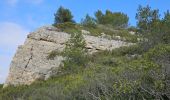 Trail Walking Roquefort-la-Bédoule - Roquefort la Bédoule - Photo 1